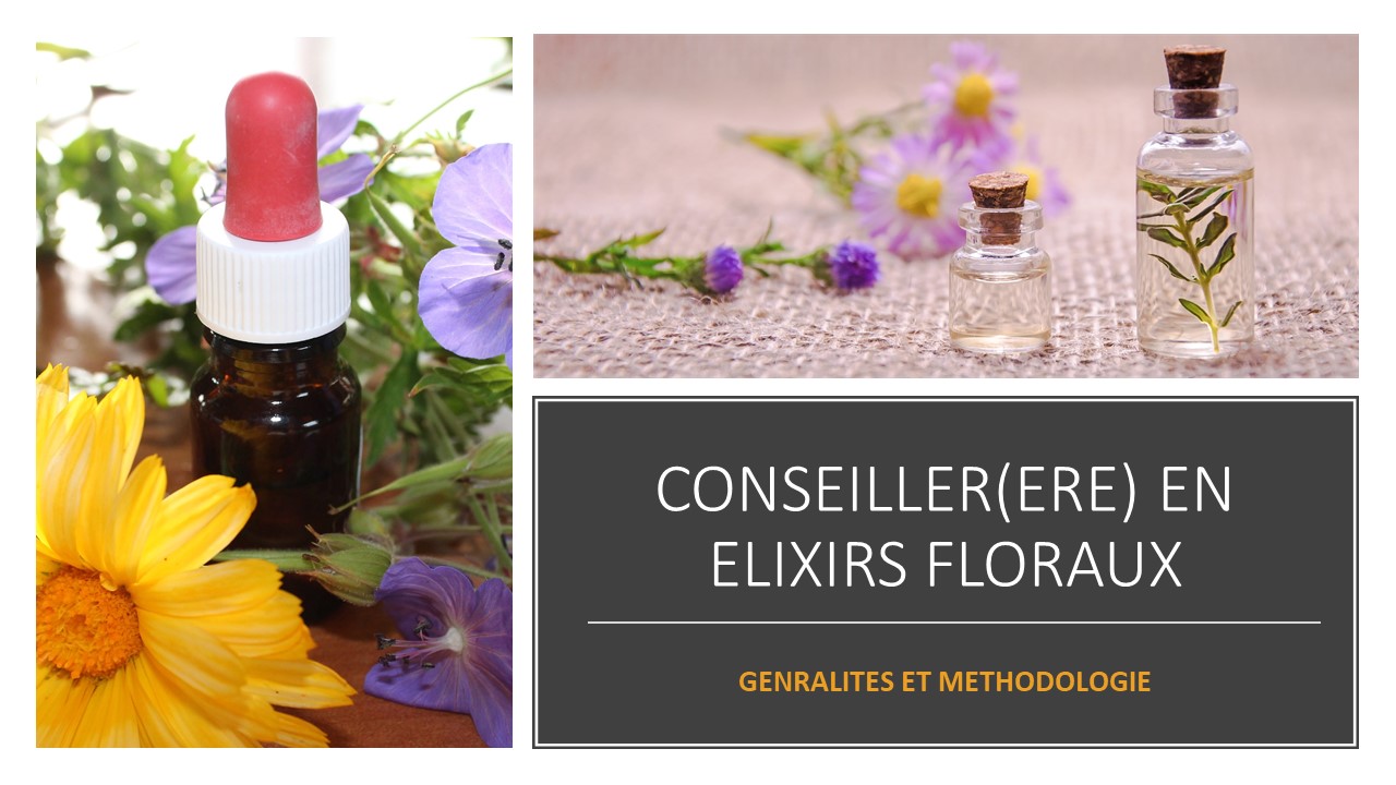 elix flor generalites