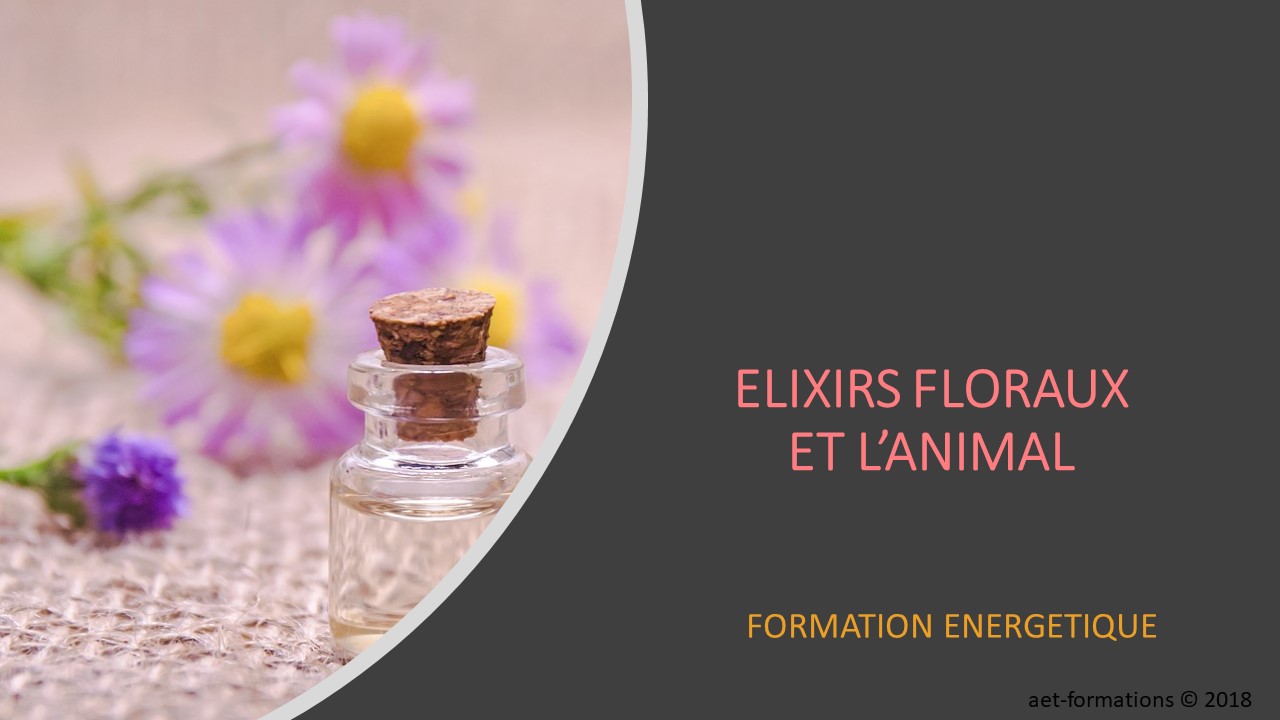ELIXIRS DE FLEURS ET L'ANIMAL