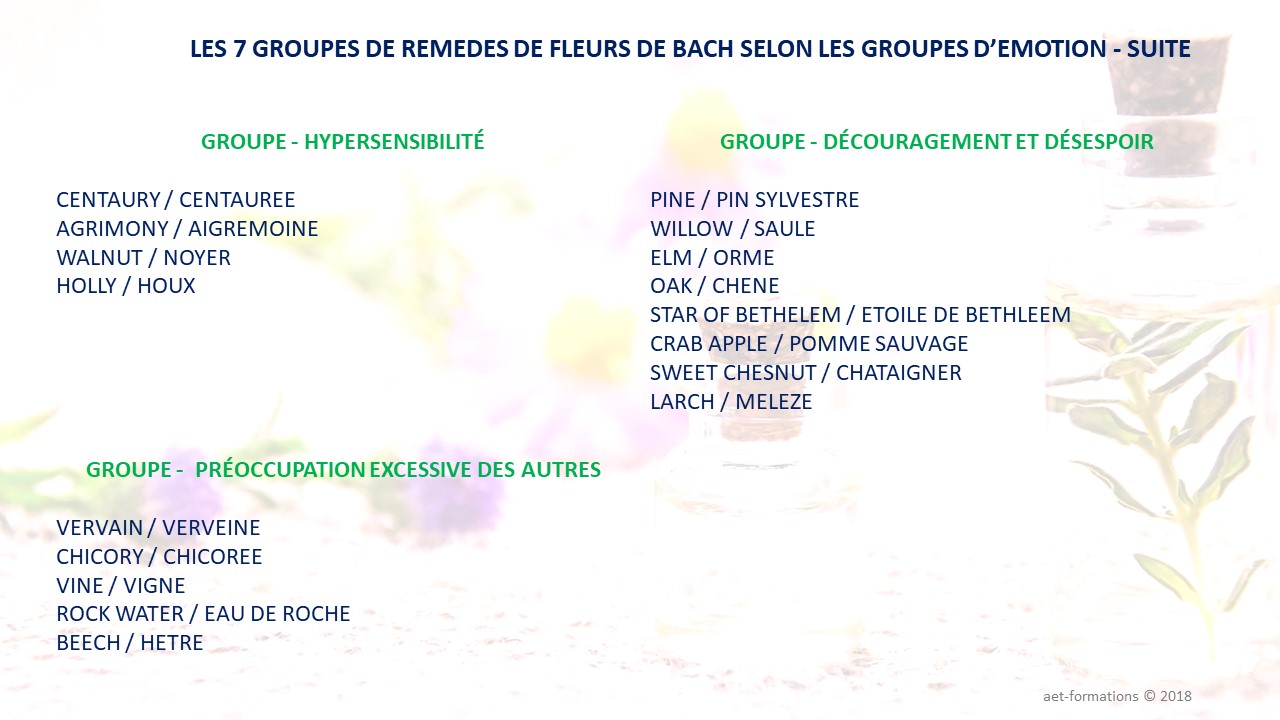 GROUPE REMEDE 2